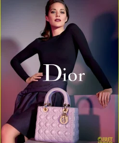 Fake Dior