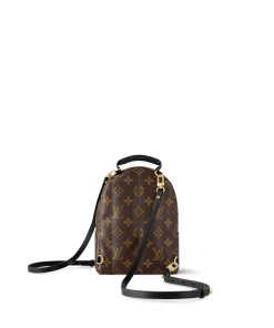 Louis Vuitton M44873 Palm Springs Mini