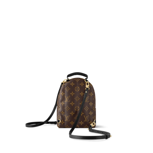 Louis Vuitton M44873 Palm Springs Mini