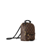 Louis Vuitton M44873 Palm Springs Mini