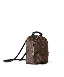 Louis Vuitton M44873 Palm Springs Mini