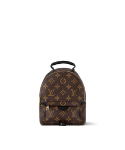 Louis Vuitton M44873 Palm Springs Mini