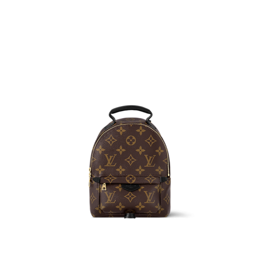 Louis Vuitton M44873 Palm Springs Mini