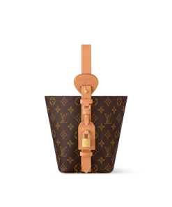 Louis vuitton Monogram